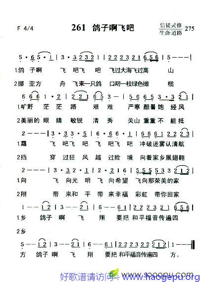 鸽子啊飞吧歌谱