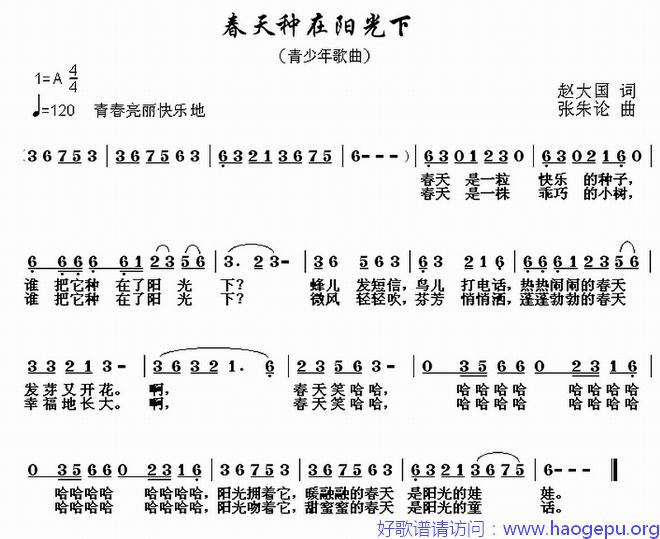 春天种在阳光下歌谱