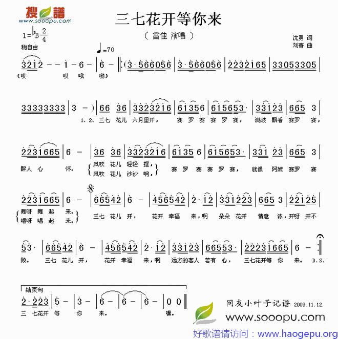 三七花开等你来歌谱