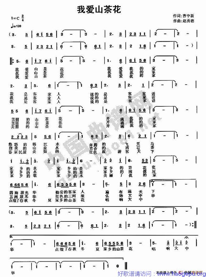 我爱山茶花歌谱