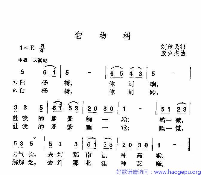 白杨树歌谱