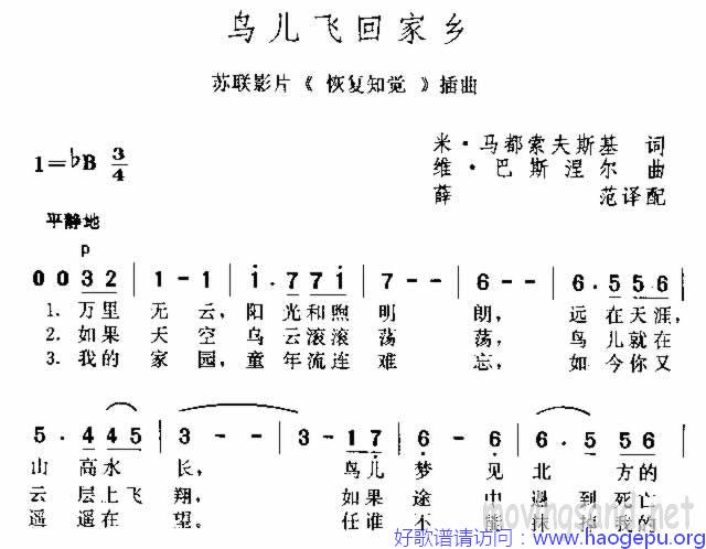 鸟儿飞回家乡歌谱