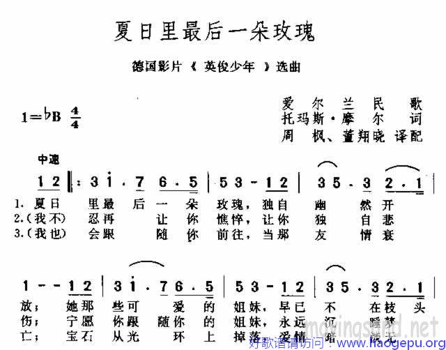 夏日里最后一朵玫瑰歌谱