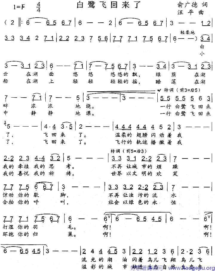 白鹭飞回来了歌谱