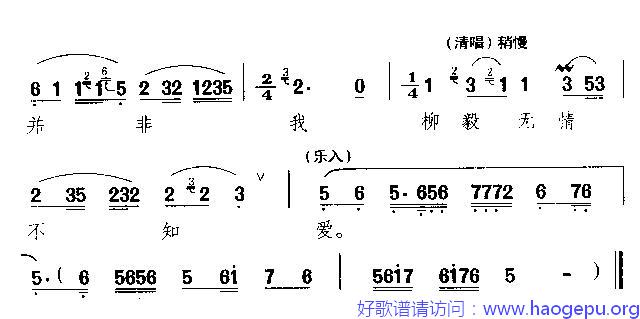 借花献弗敬一杯歌谱