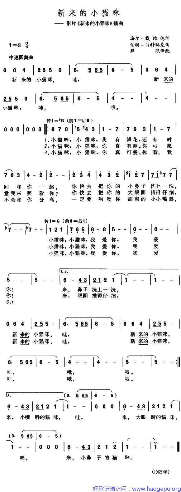 [美] 新来的小猫咪歌谱