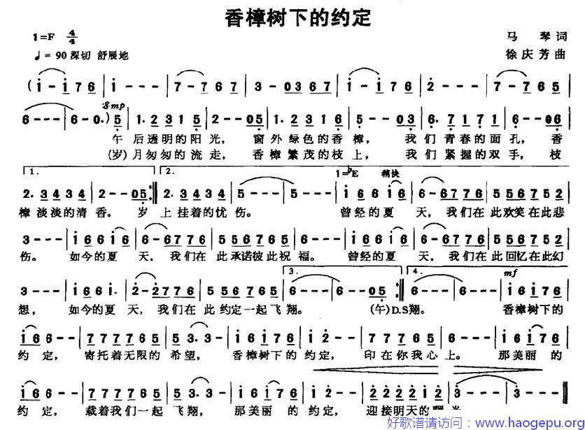 香樟树下的约定歌谱