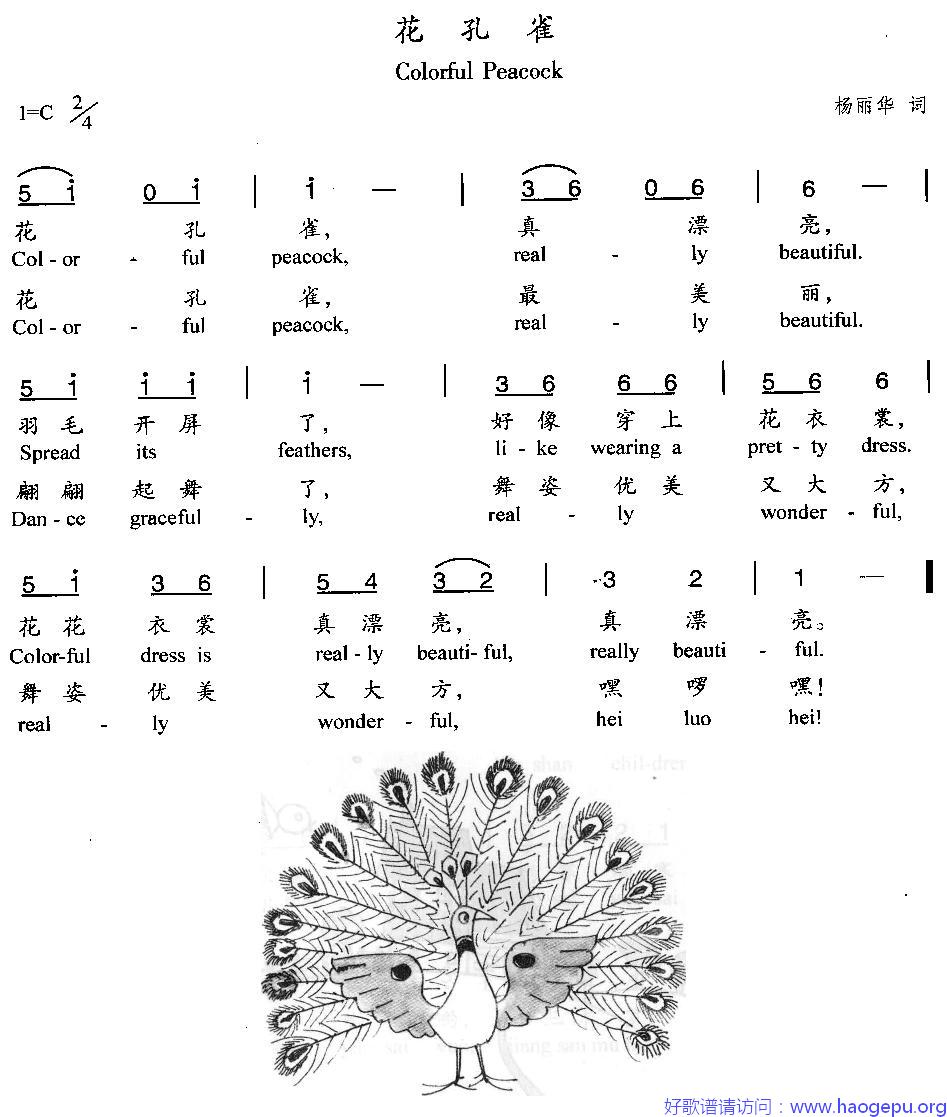 花孔雀歌谱