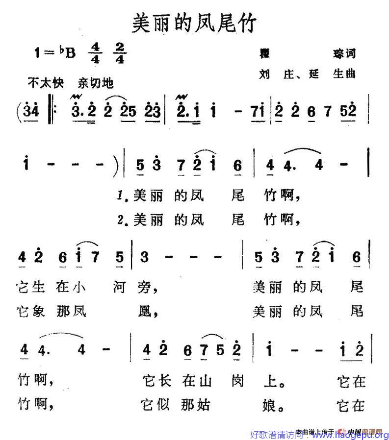 美丽的凤尾竹歌谱