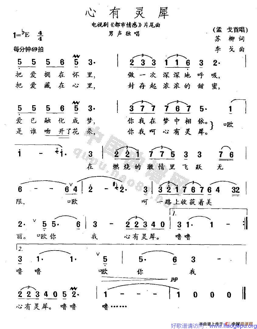 心有灵犀电视剧_都市情感_片尾曲歌谱