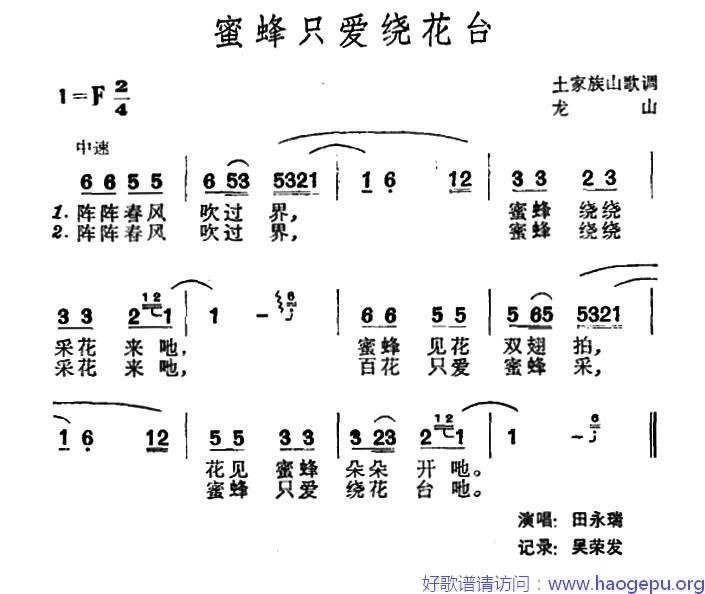 蜜蜂只爱绕花台(土家族山歌)歌谱