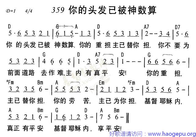 359你的头发已被神数算歌谱