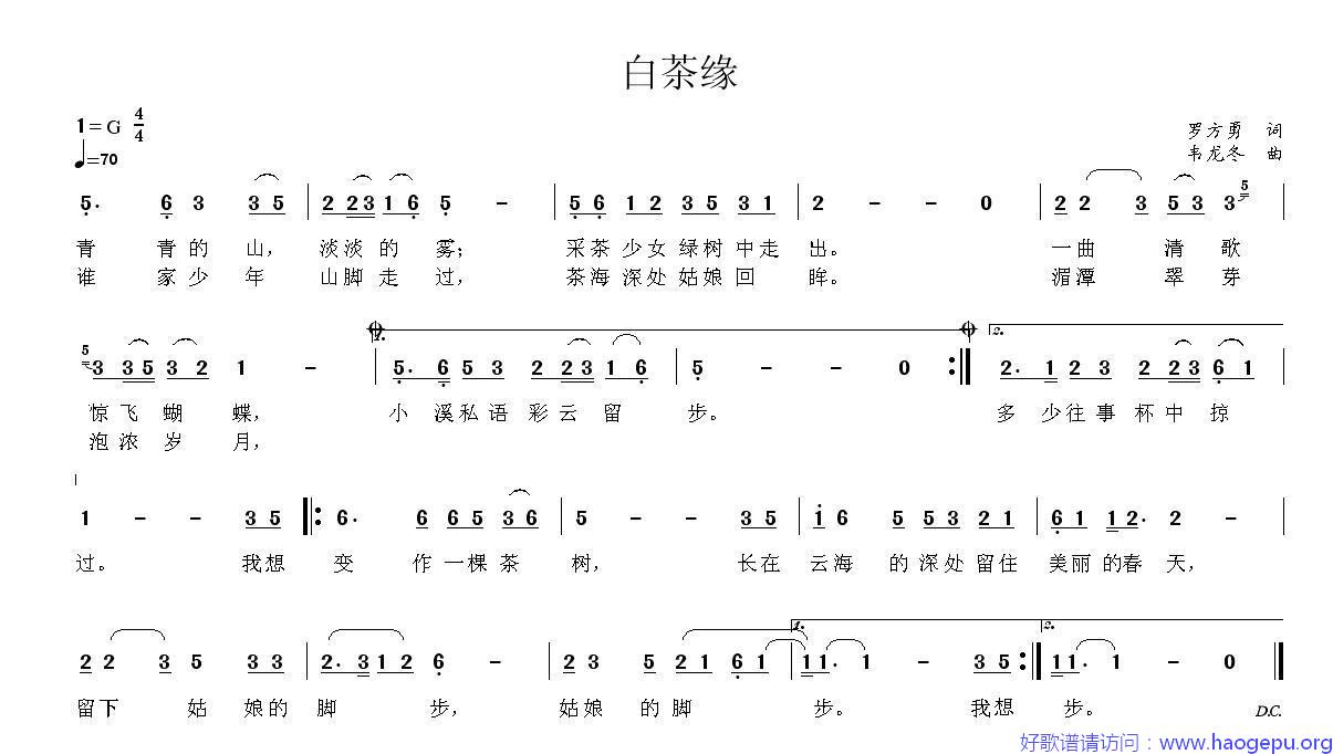 白茶缘歌谱