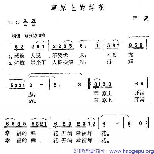 草原上的鲜花歌谱