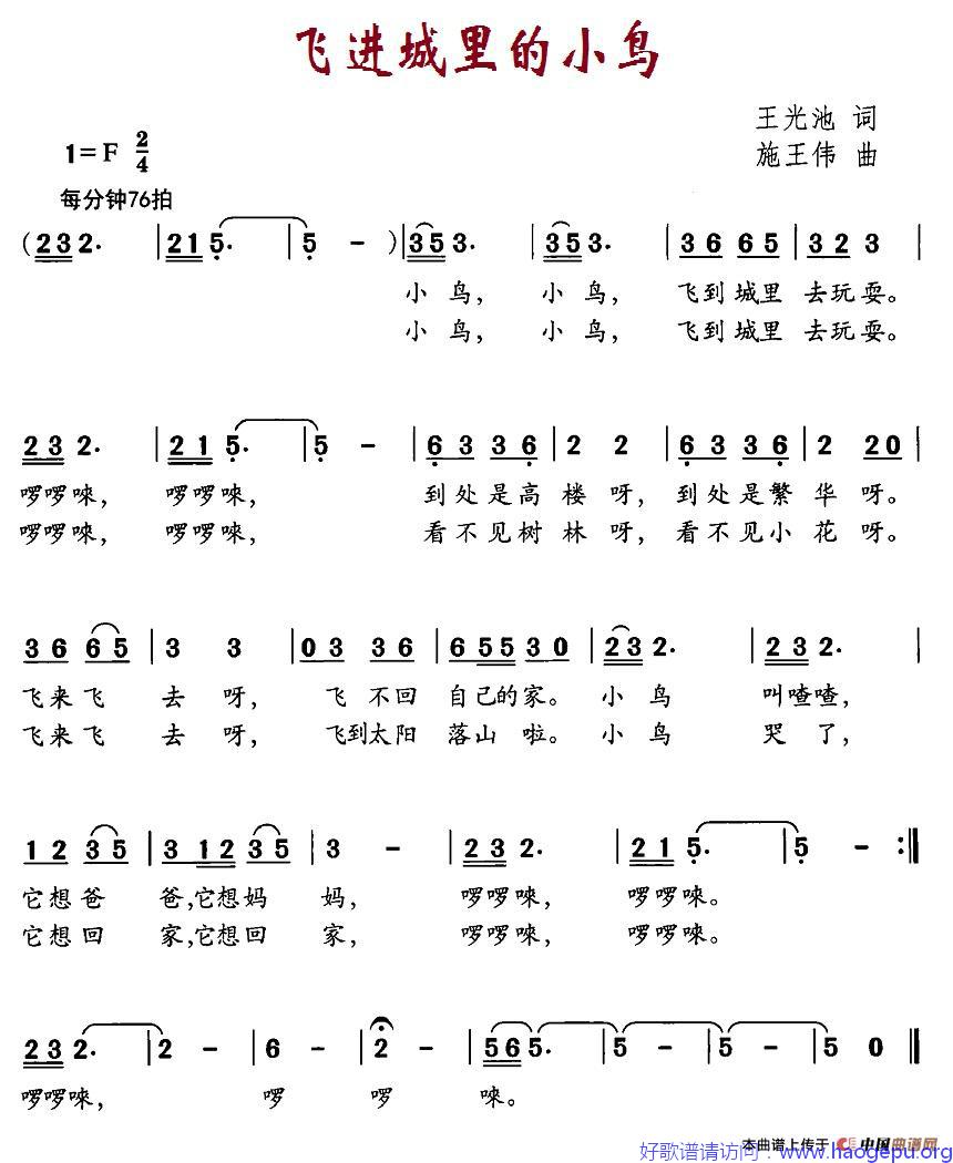 飞进城里的小鸟歌谱