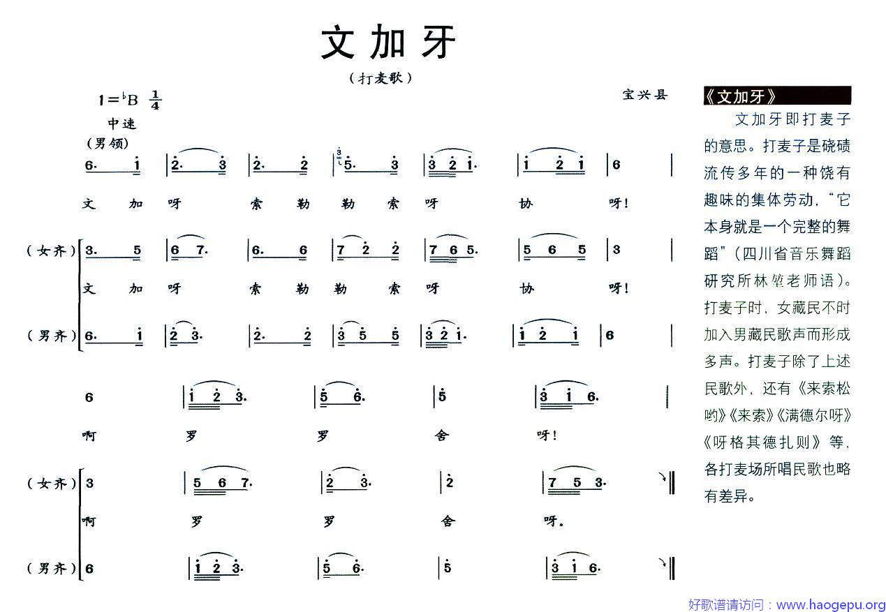 文加牙(打麦歌)歌谱