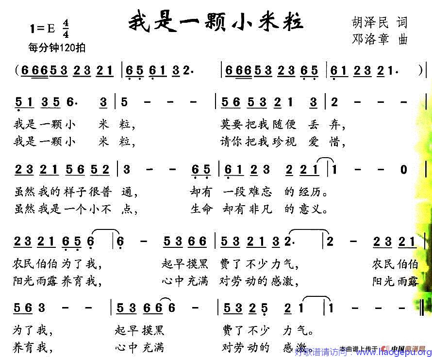 我是一颗小米粒歌谱