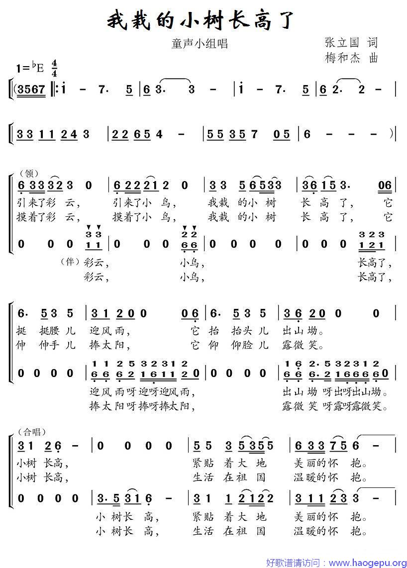 我栽的小树长高了(合唱)歌谱