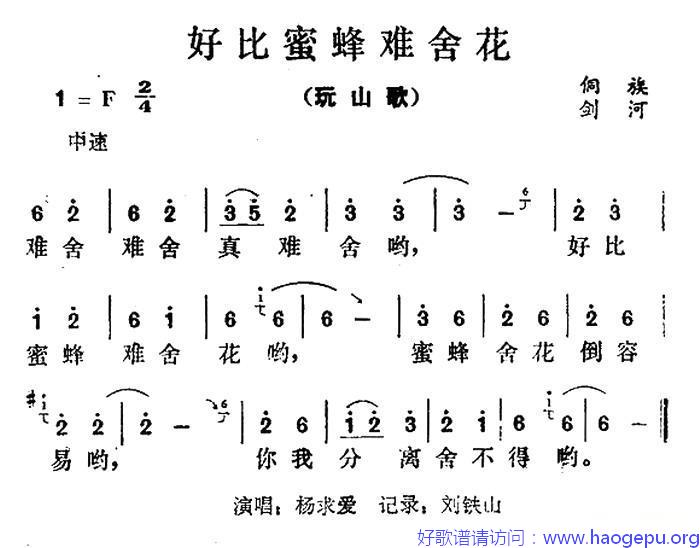 好比蜜蜂难舍花歌谱