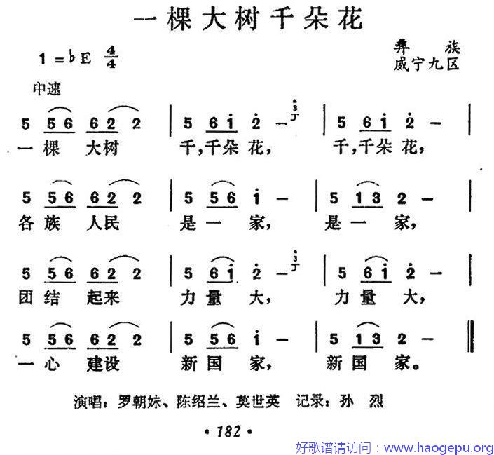 一棵大树千朵花歌谱