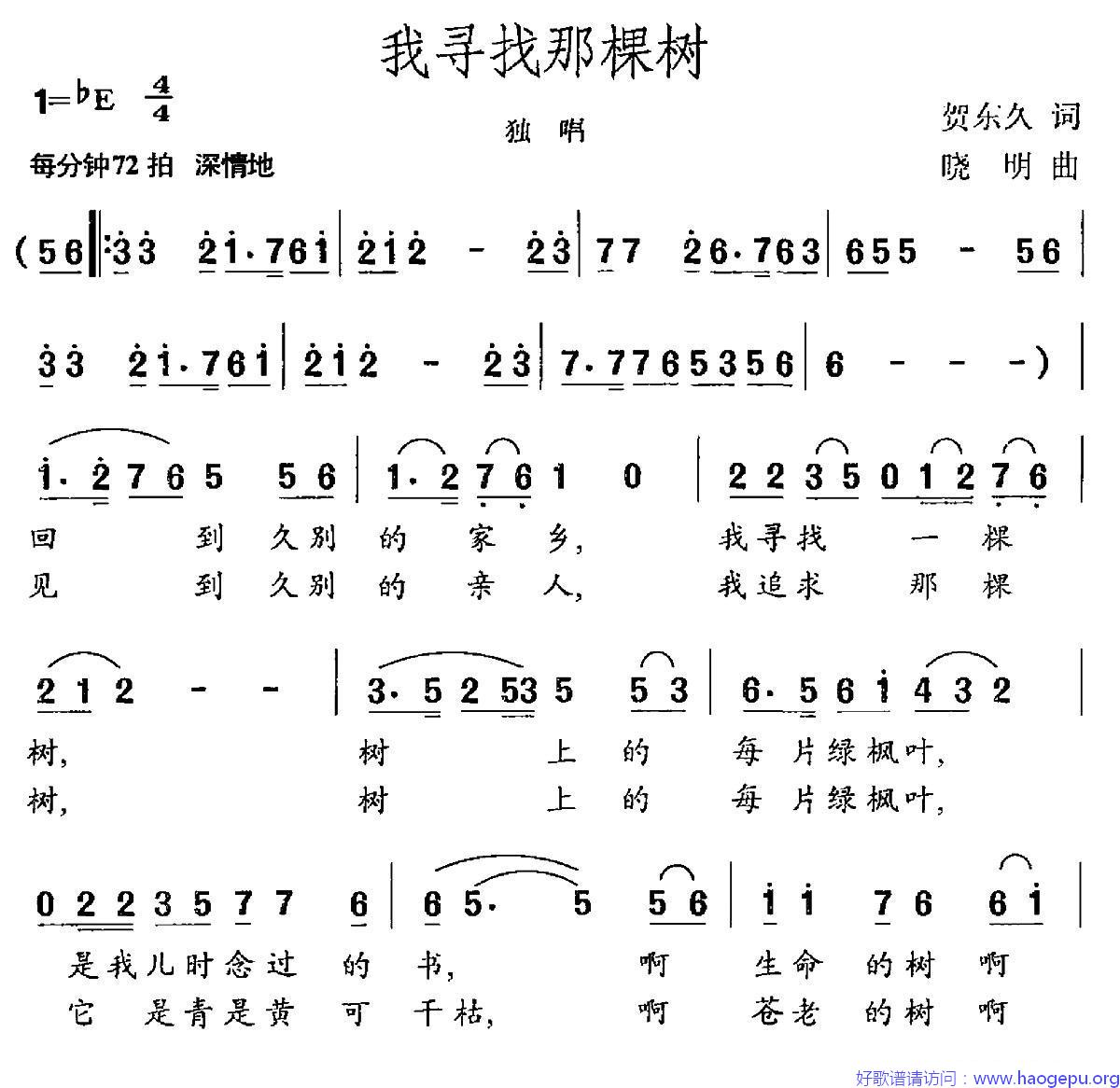 我寻找那棵树歌谱