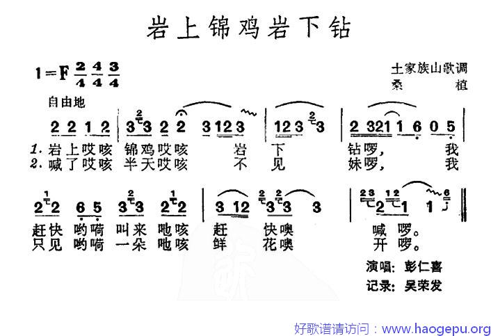 岩上锦鸡岩下钻(土家族山歌)歌谱