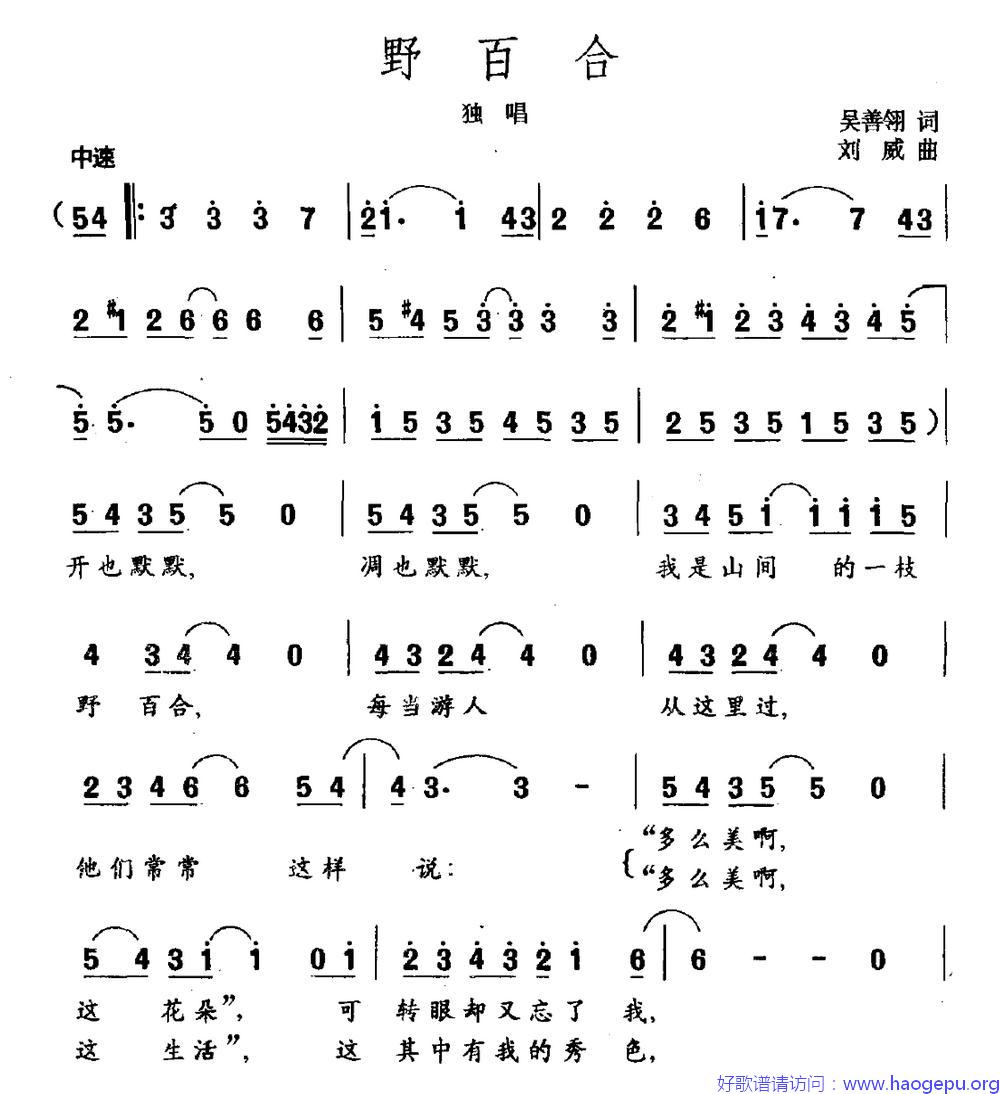 野百合歌谱