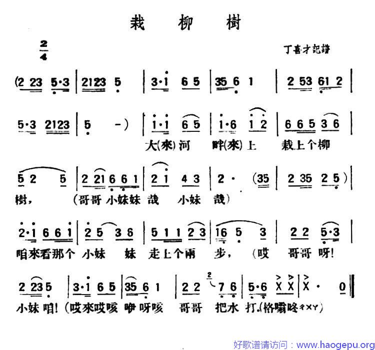 栽柳树(陕北榆林小曲)歌谱