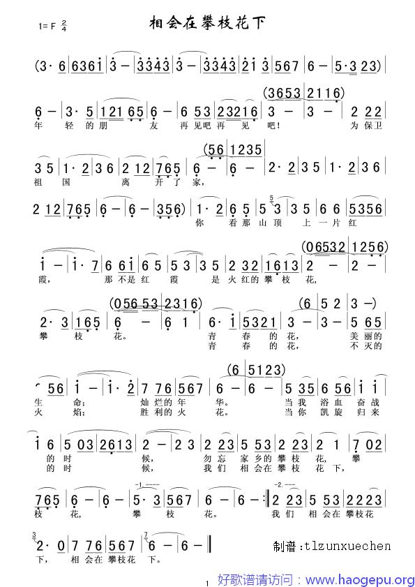 相会在攀枝花下歌谱
