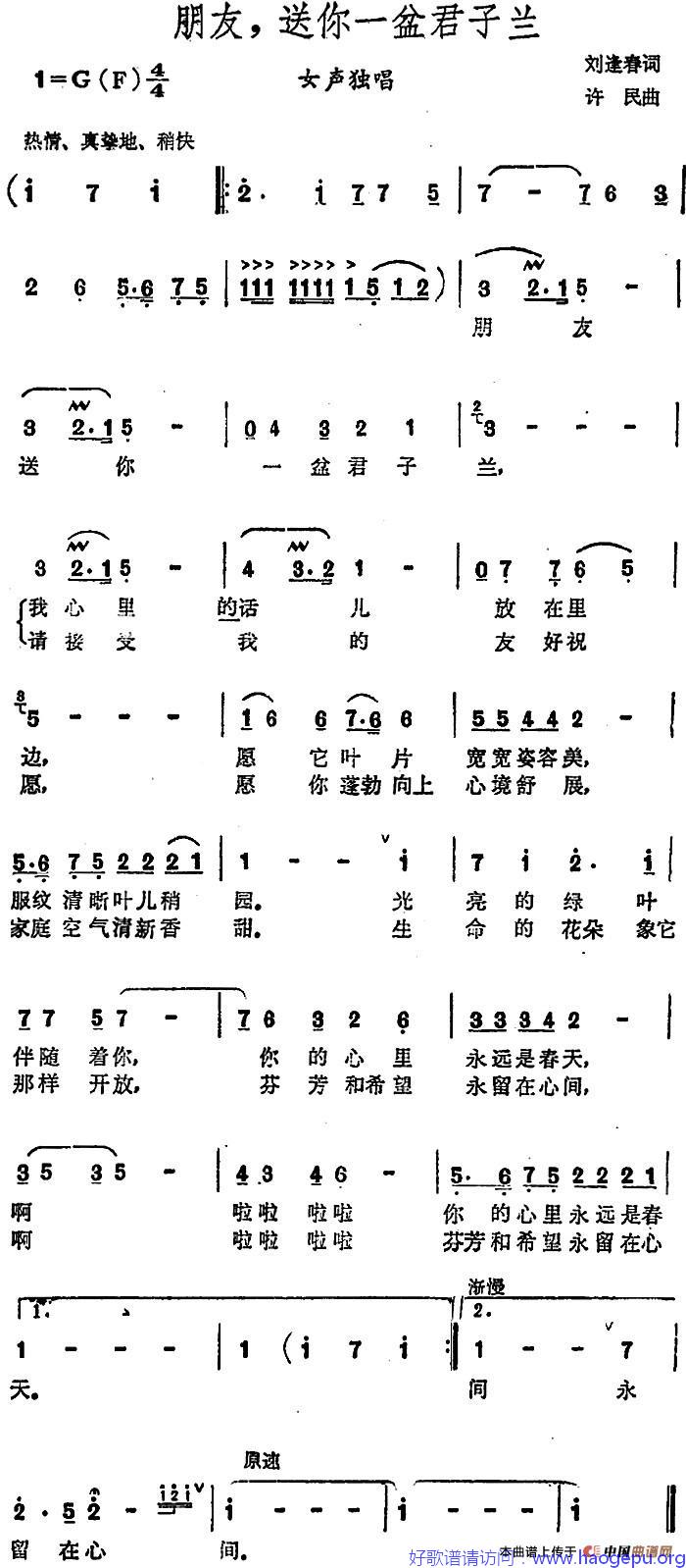 朋友,送你一盆君子兰歌谱