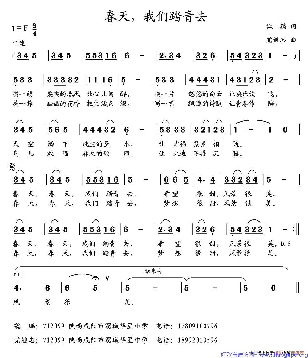 春天,我们踏青去歌谱