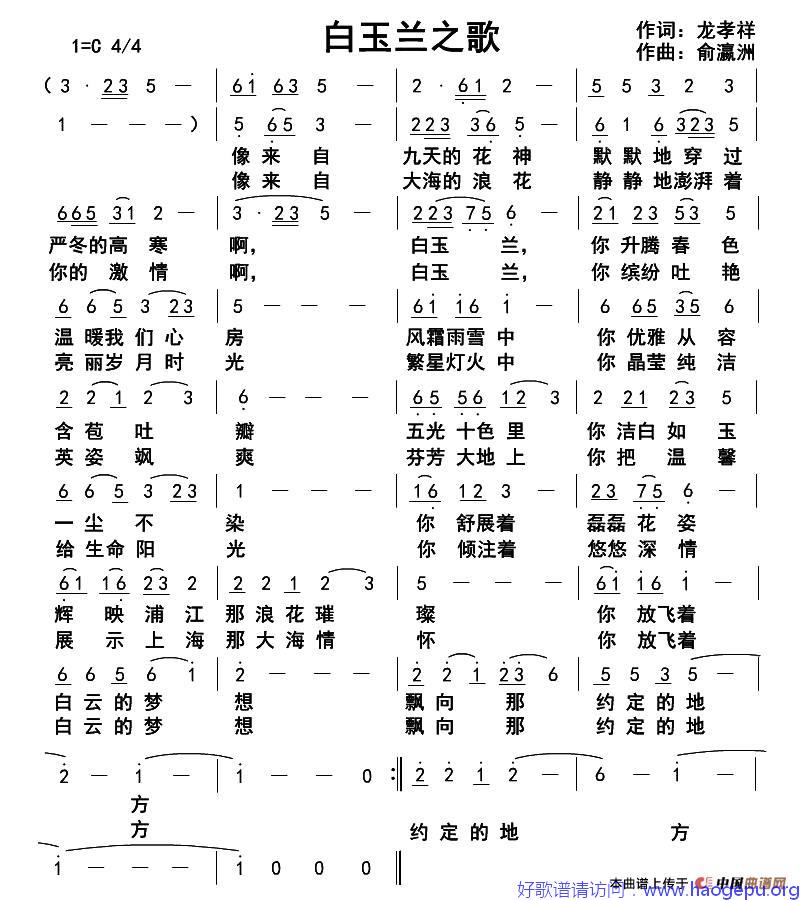 白玉兰之歌歌谱