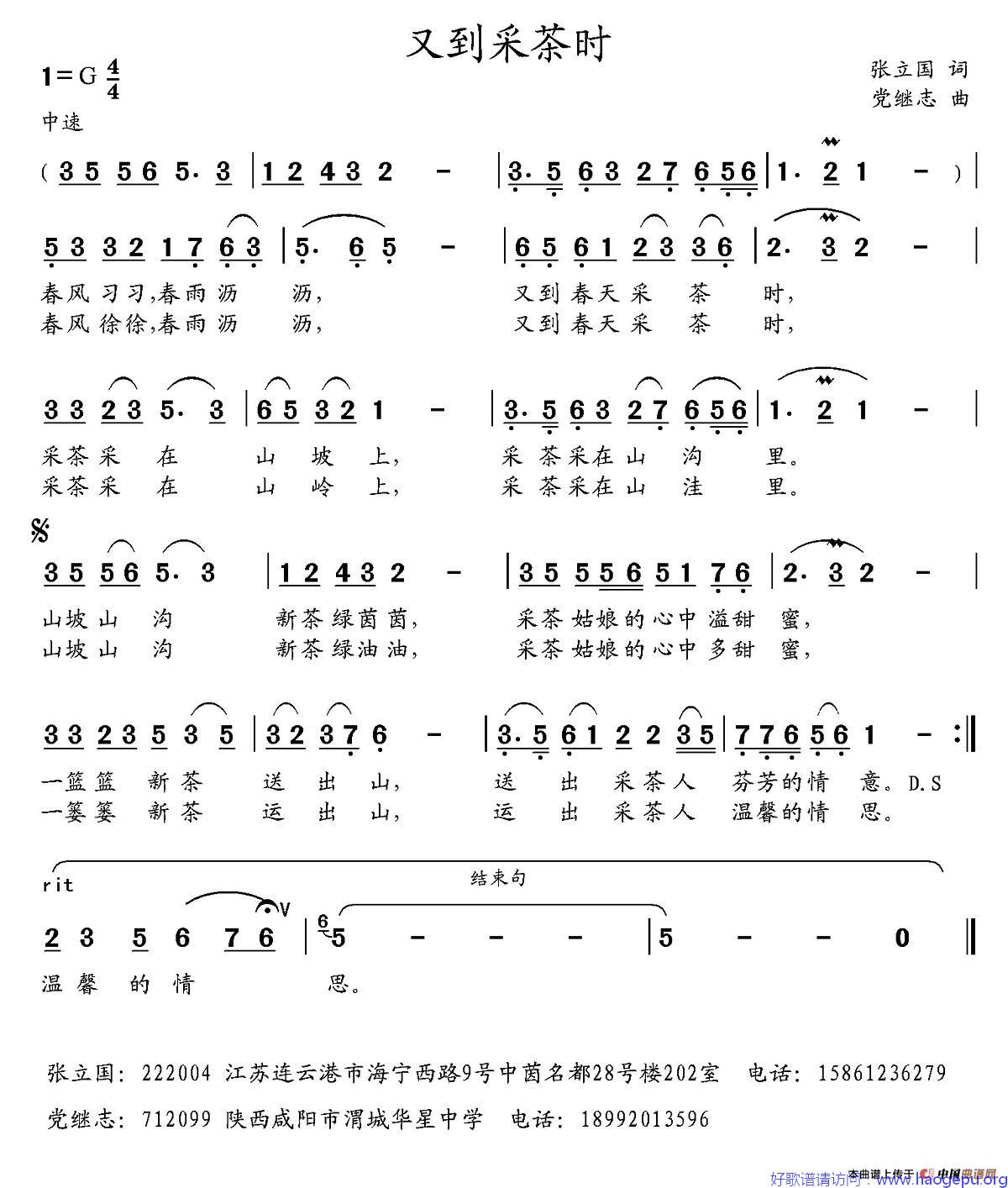 又到采茶时歌谱